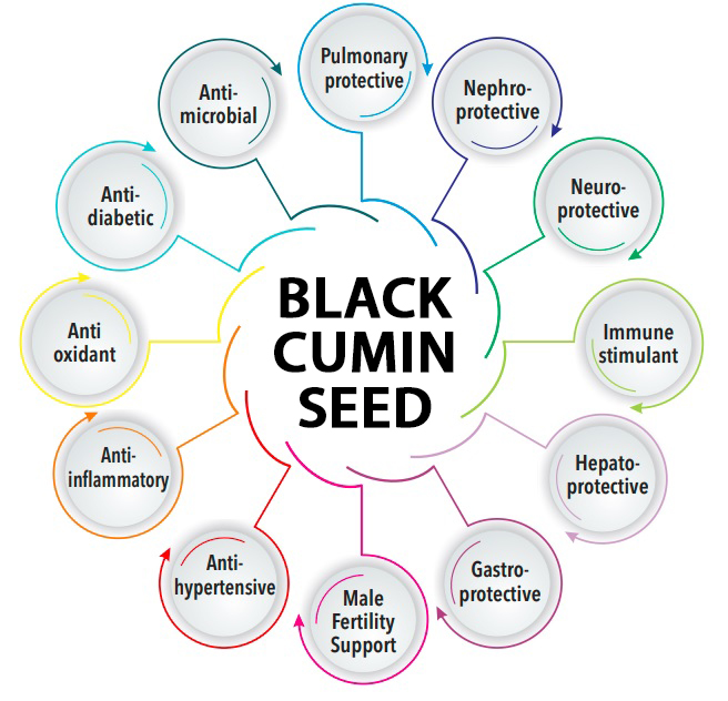 black cumin seed properties