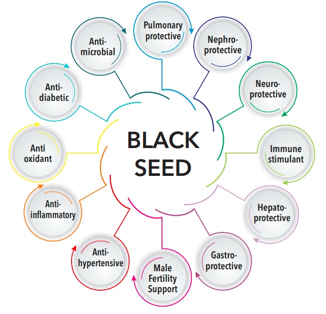 black seed properties